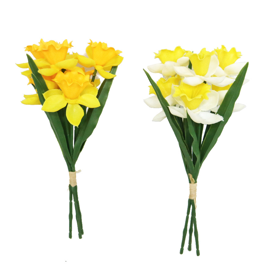 narcissus bundled