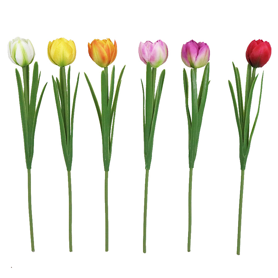 tulip stem wholesale