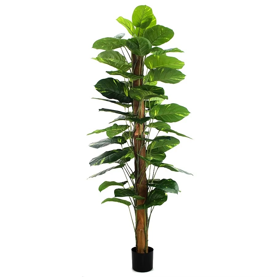 artificial pothos plant