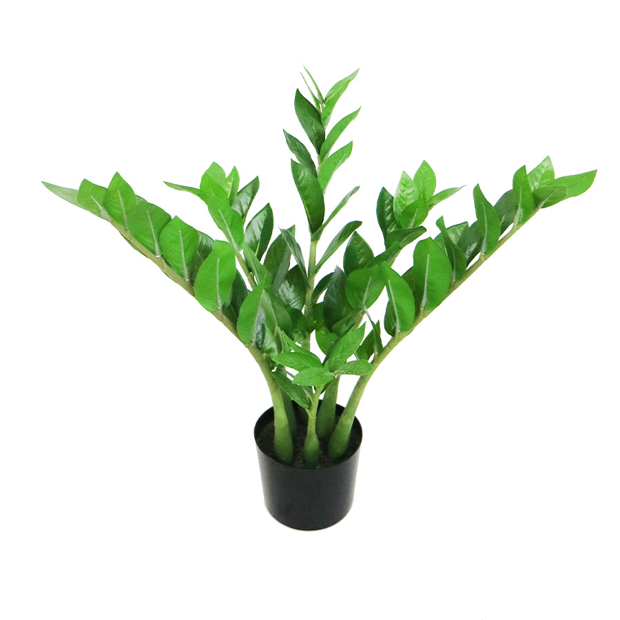 faux zamiifolia bonsai