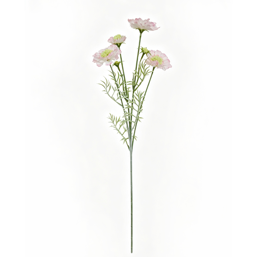 pink flower stem
