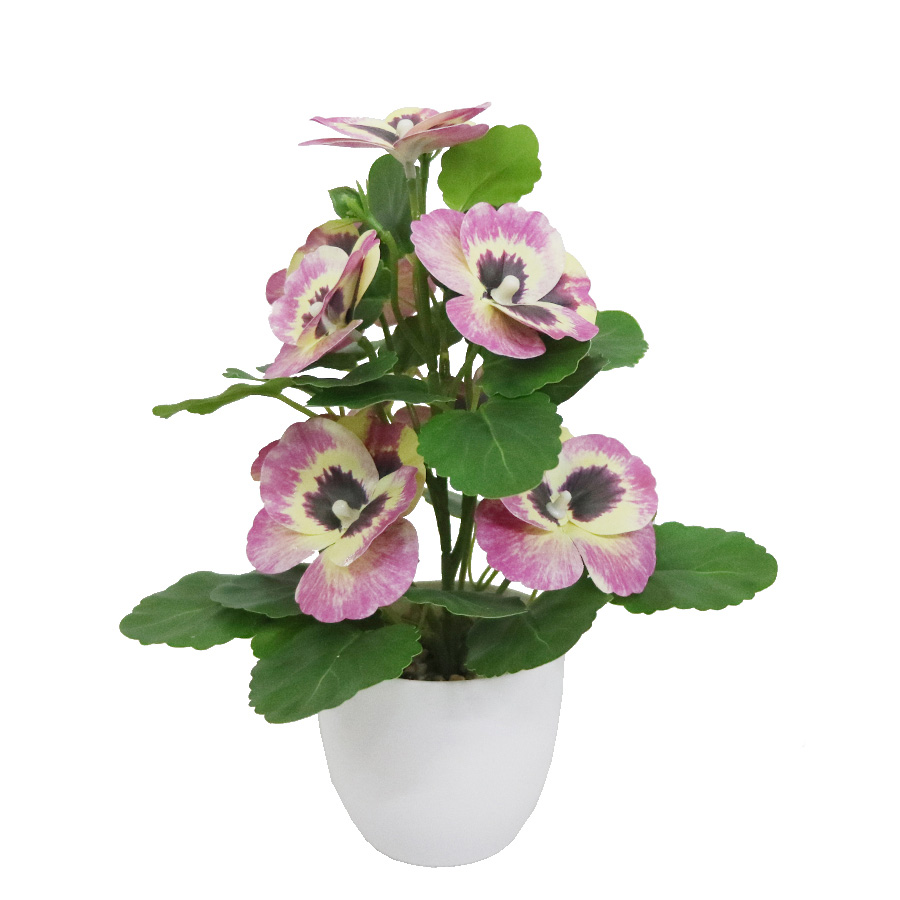 pink pansy bonsai