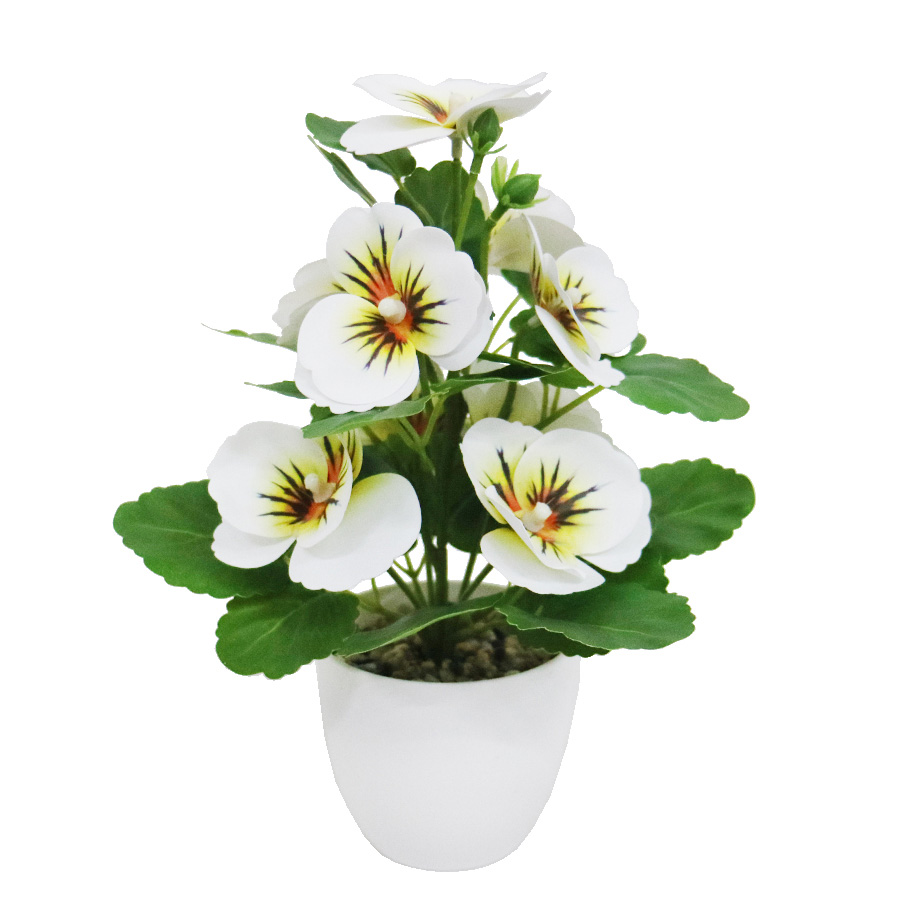 white pansy bonsai
