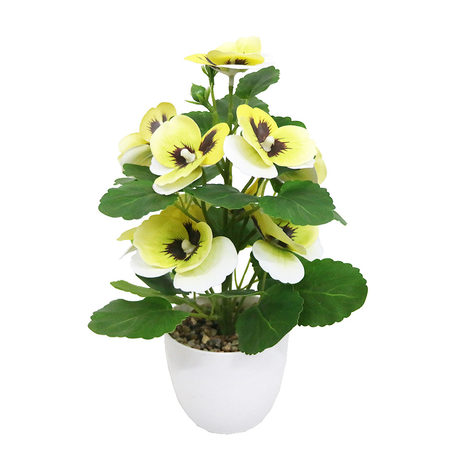 yellow pansy bonsai