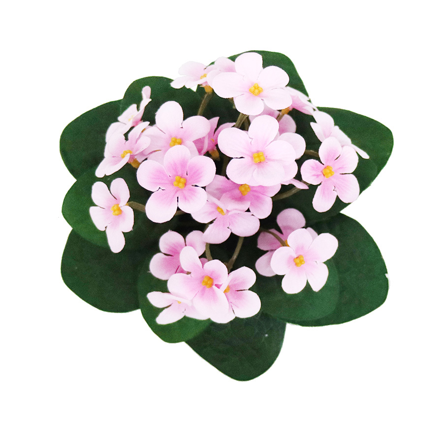 violet flower