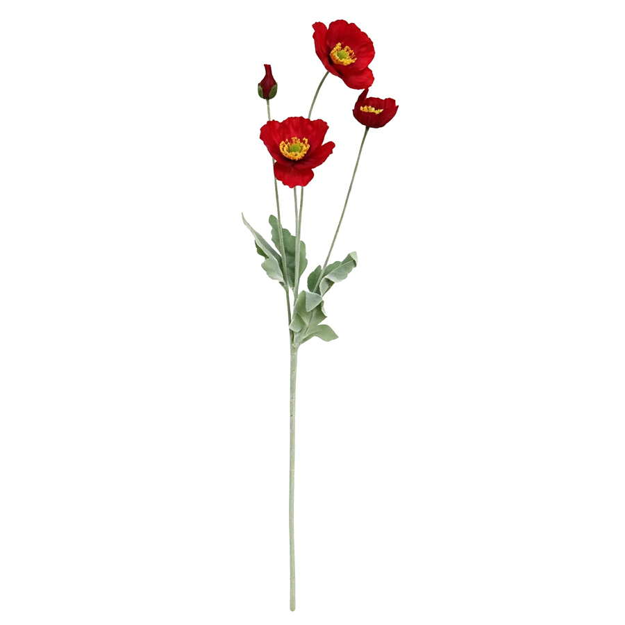 red poppy stem