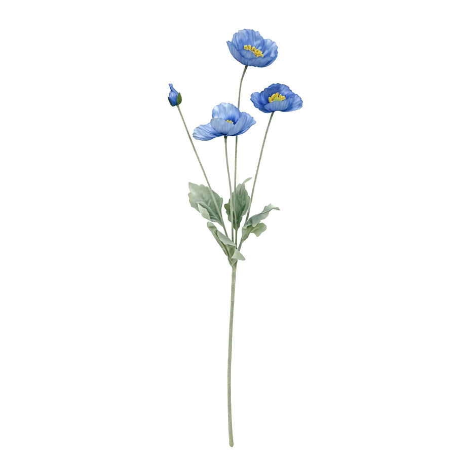 blue poppy flower