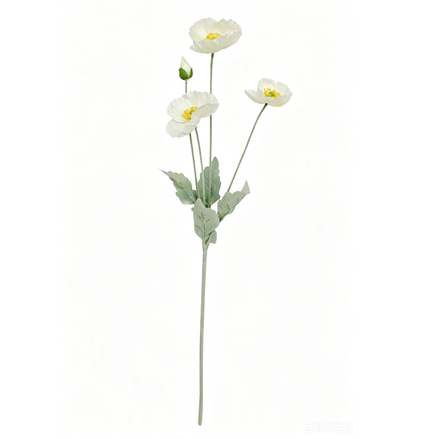 white poppy flower