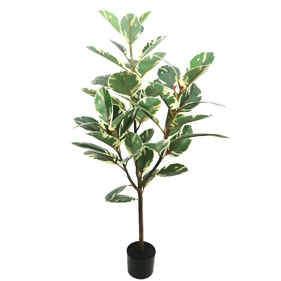 tree rubber