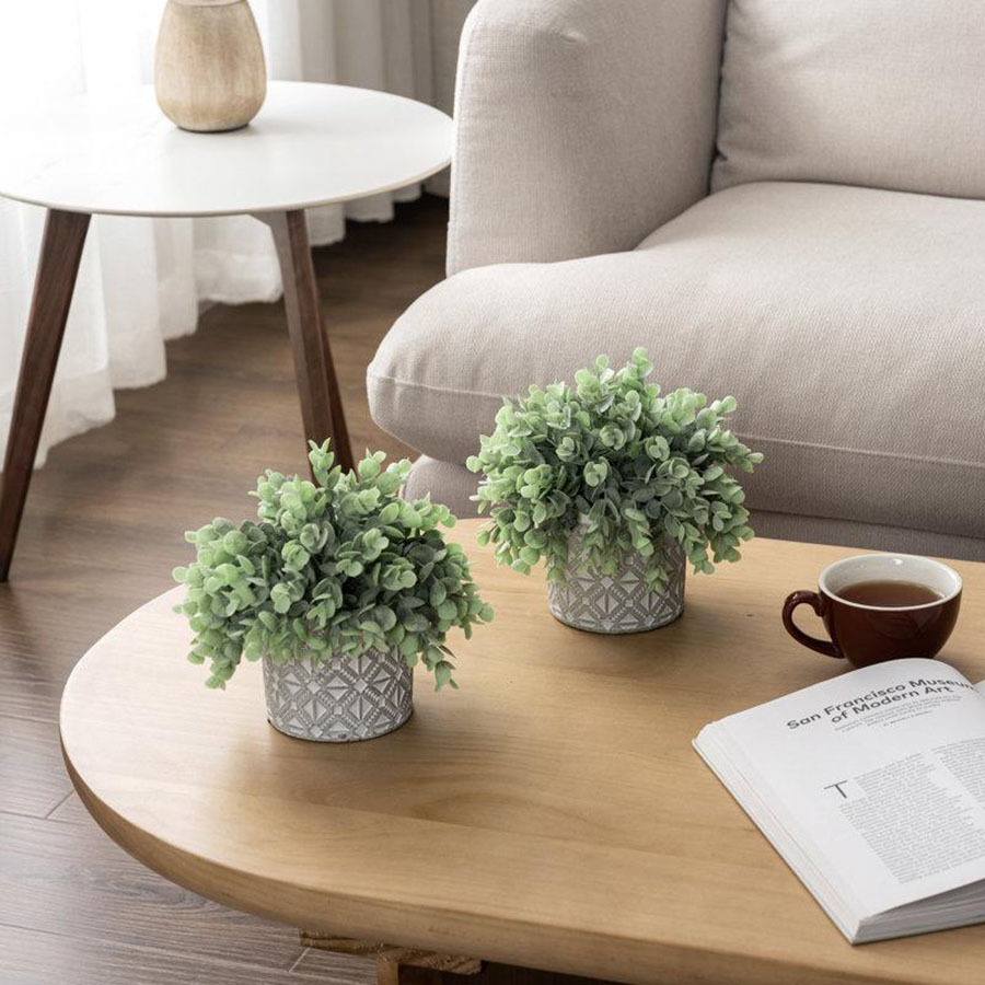 The Rise of Mini Plant Decor