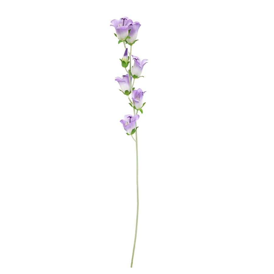purple bellflower stem
