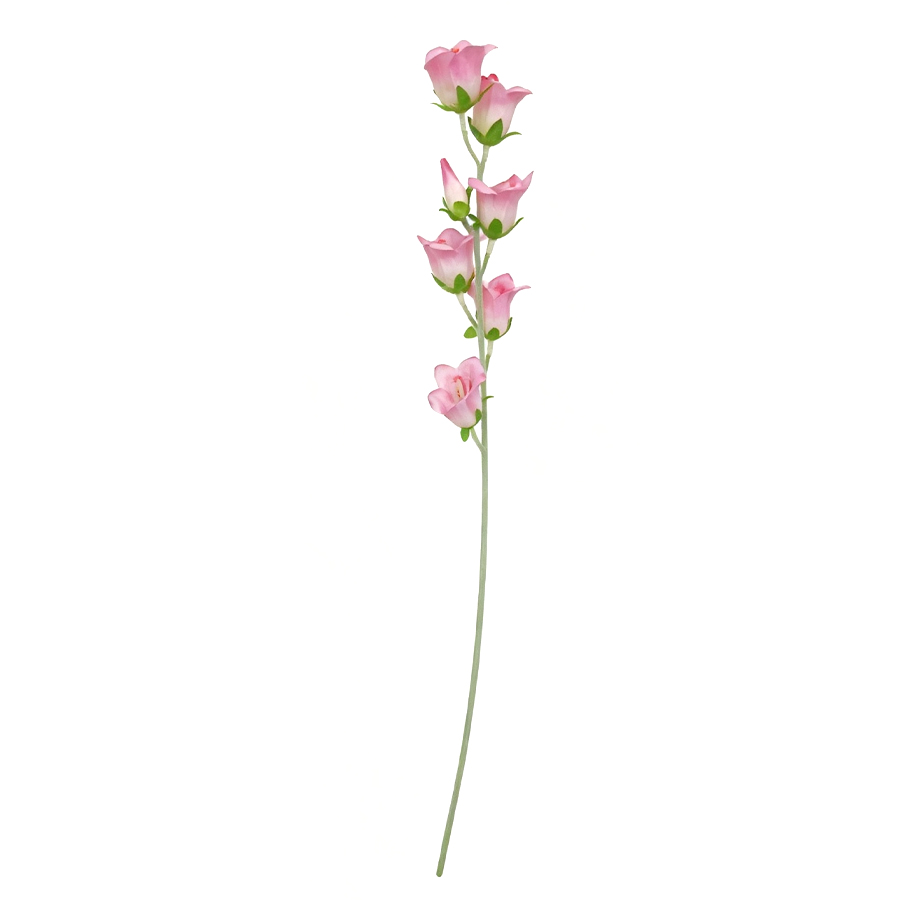 pink bellflower stem