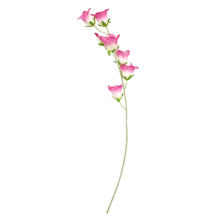 dark pink bellflower stem