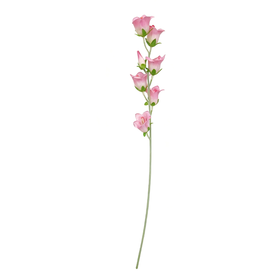 bellflower stem wholesale