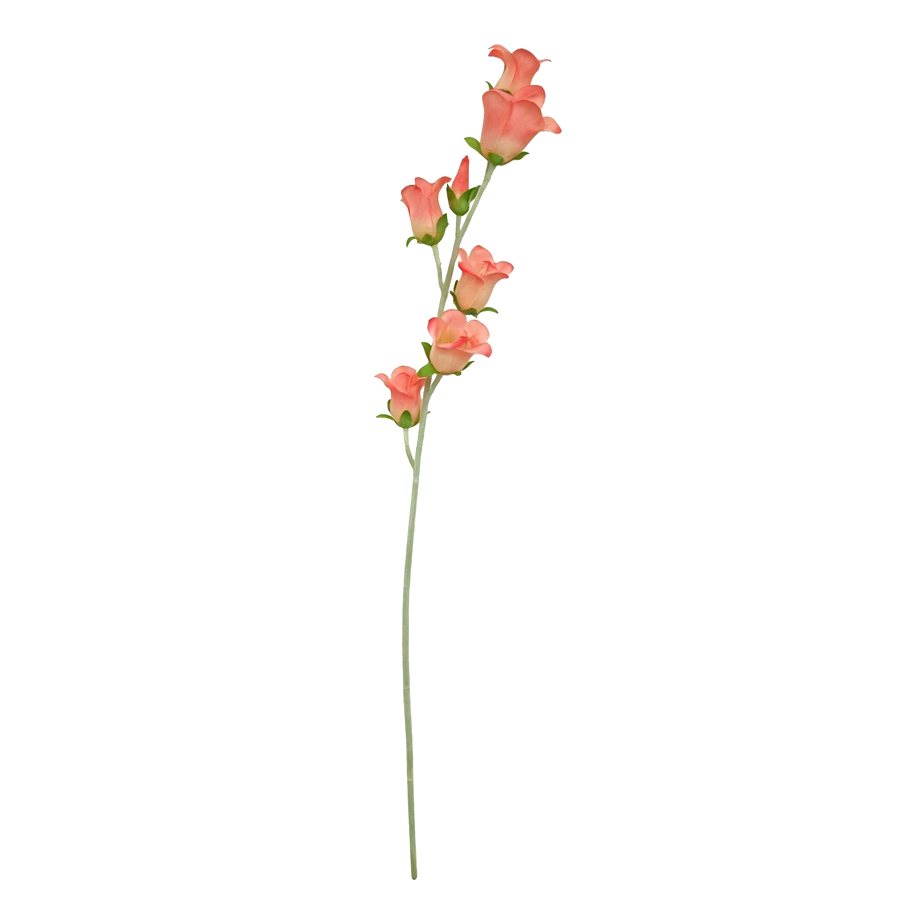 orange bellflower stem 