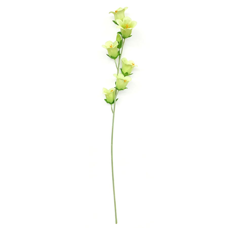 green bellflower stem 