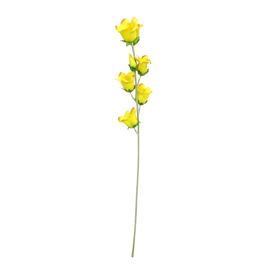 yellow bellflower stem 