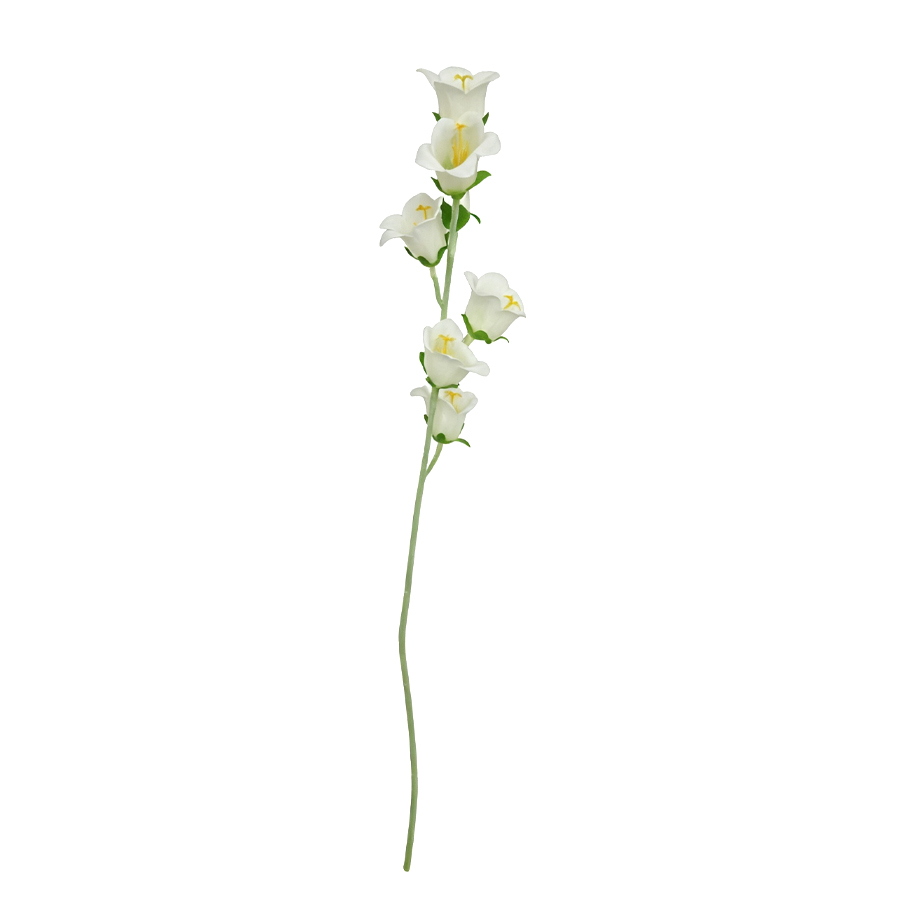 white bellflower stem 