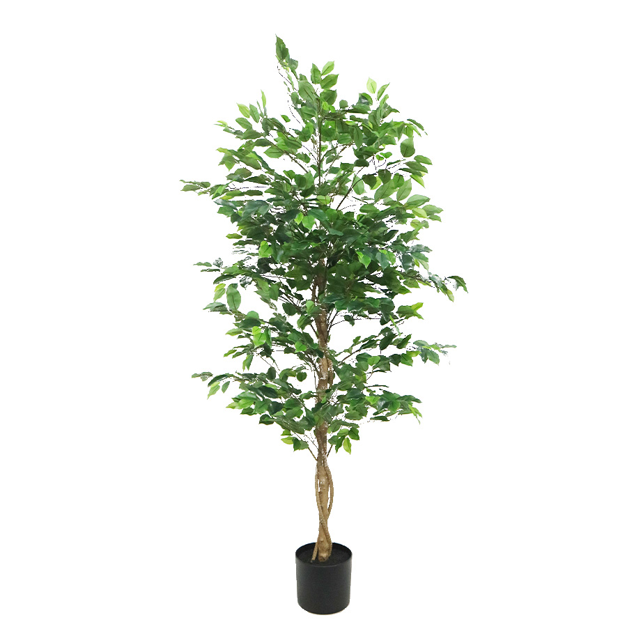 ficus tree artificial 