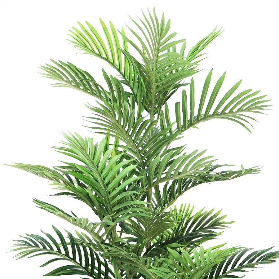 palm tree palm tree