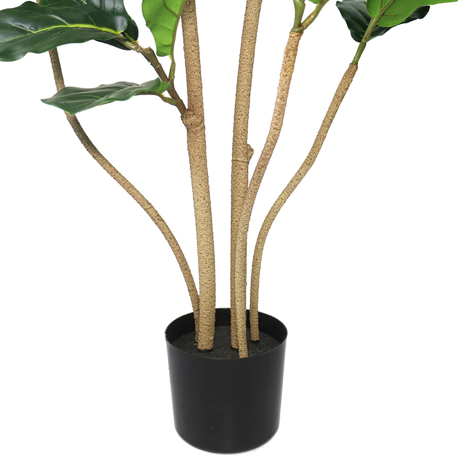 fiddle tree fiddle tree