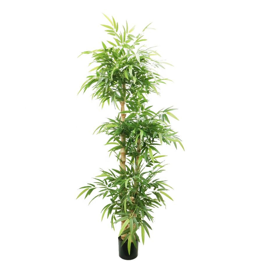 bamboo 