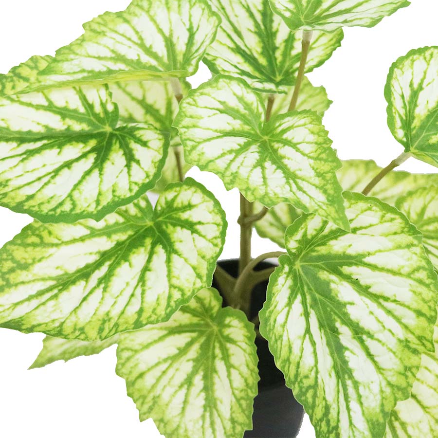 faux plant leaves