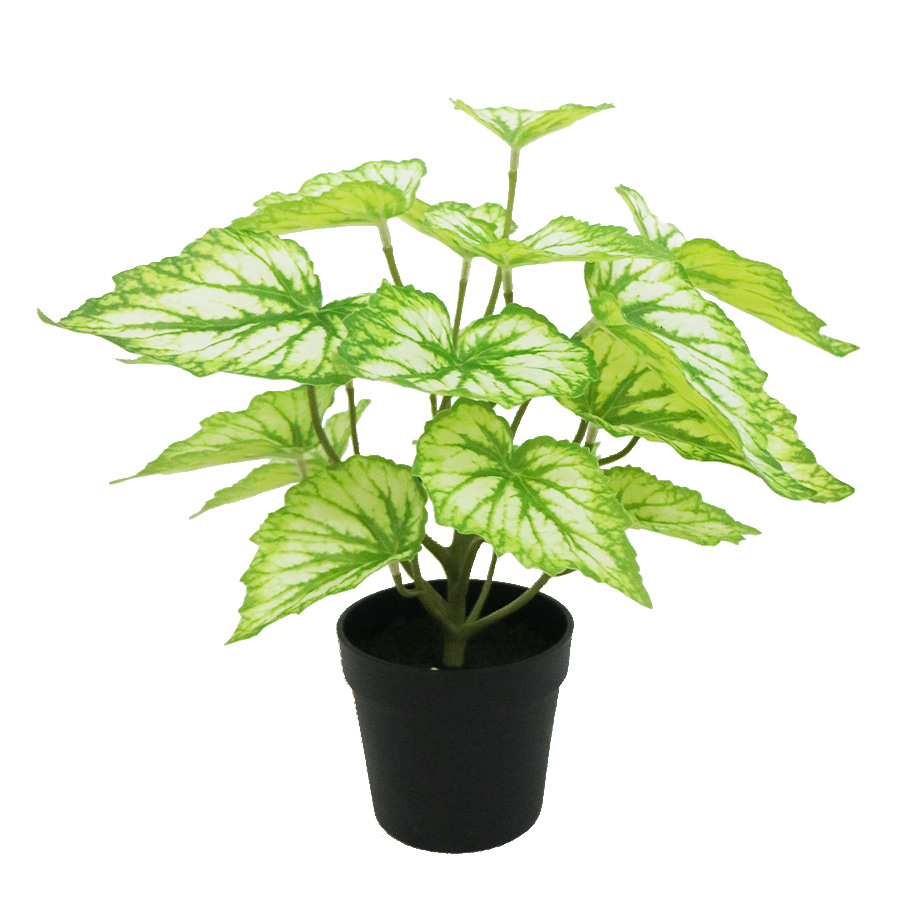 artificial plant bonsai