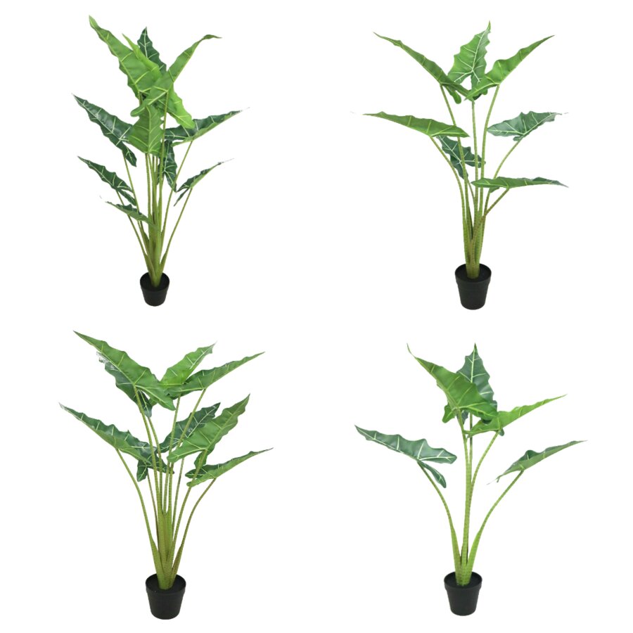New Arrival: Artificial Alocasia Sarian Plant