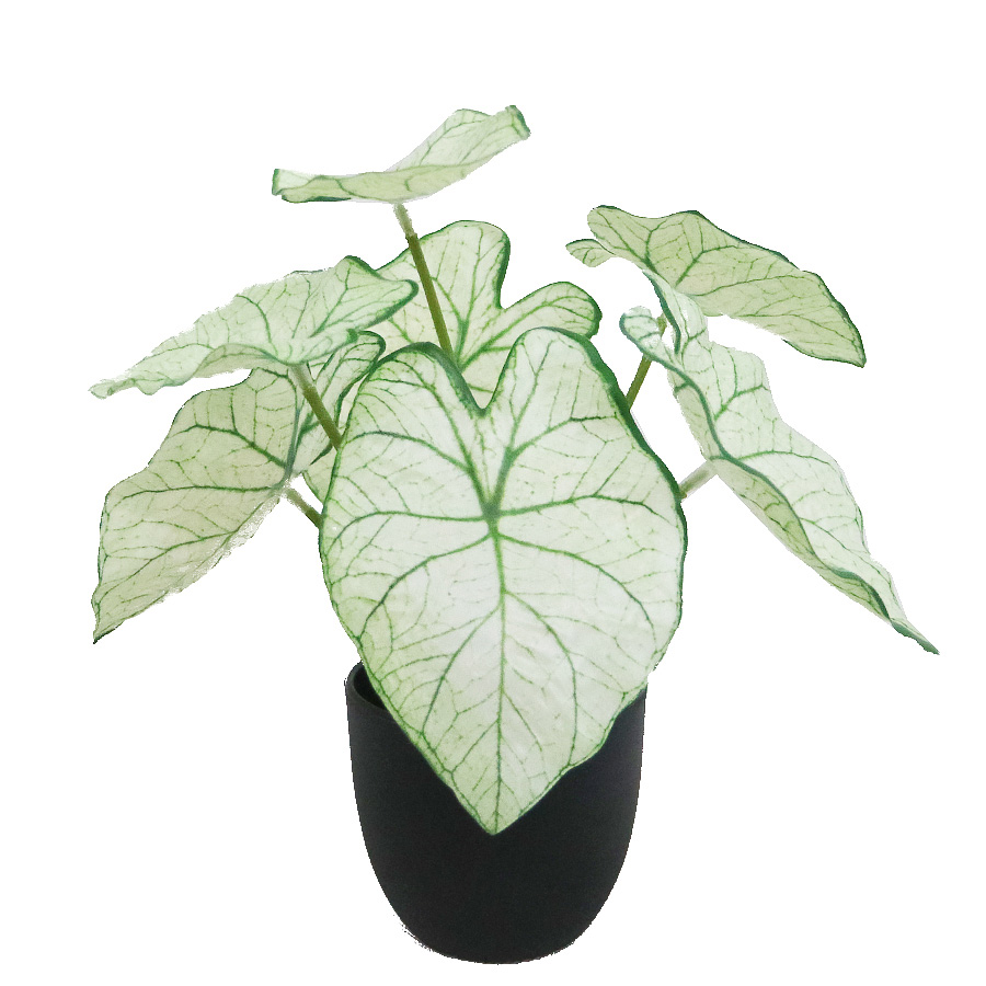 faux small bonsai